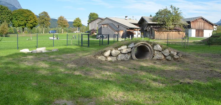 Hundewiese Heimatmuseum